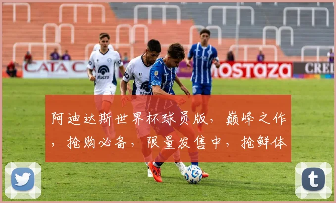 阿迪达斯世界杯球员版，巅峰之作，抢购必备，限量发售中，抢鲜体验