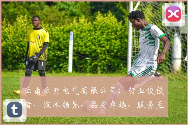 云南云开电气有限公司：行业佼佼者，技术领先，品质卓越，服务至上，值得信赖的三位一体企业
