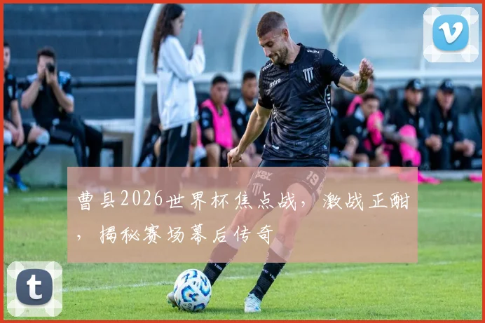 曹县2026世界杯焦点战，激战正酣，揭秘赛场幕后传奇