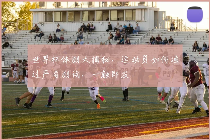 世界杯体测大揭秘，运动员如何通过严苛测试，一触即发
